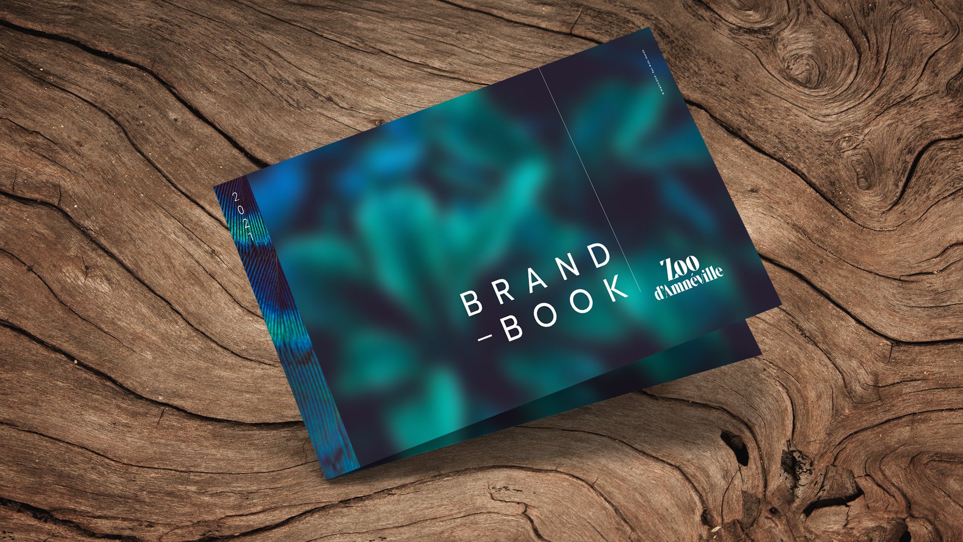 AMNEVILLE_COUV_1920X1080